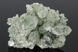 Anatase Crystals on Quartz with Chlorite Inclusions/Phantoms #176820-1